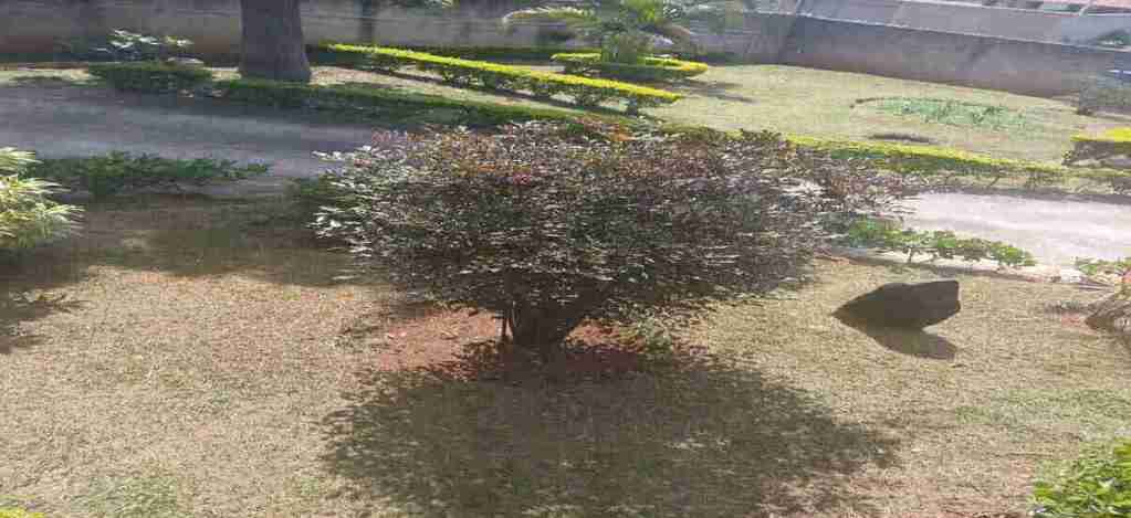 The rich power of nature in providing a satisfying life