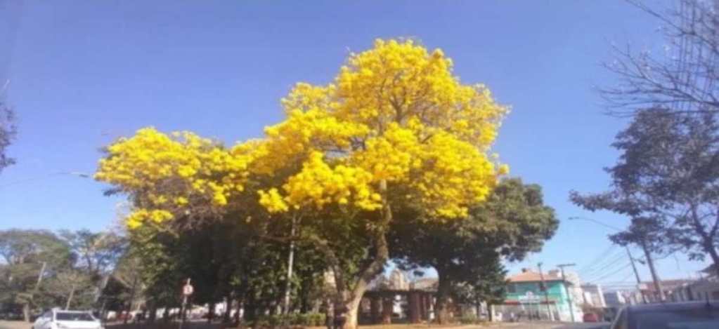 The trees always have their phases in life to bloom and so does the man