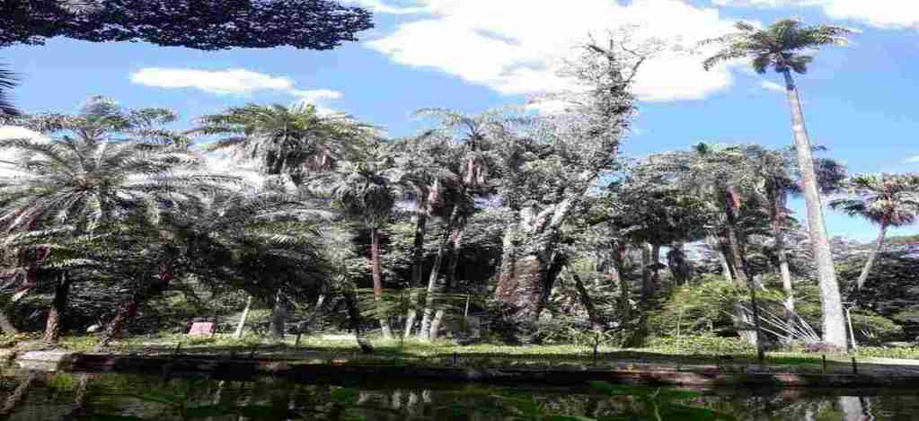 Nature has its place of importance in man's reality