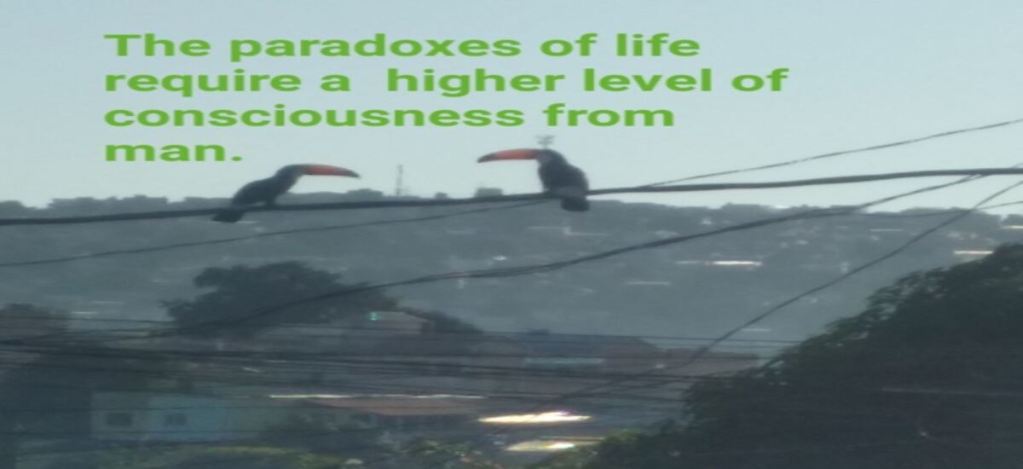 The paradoxes of life require a higher level of consciousness from man
