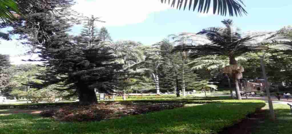 True richness starts in nature as an integral part of man